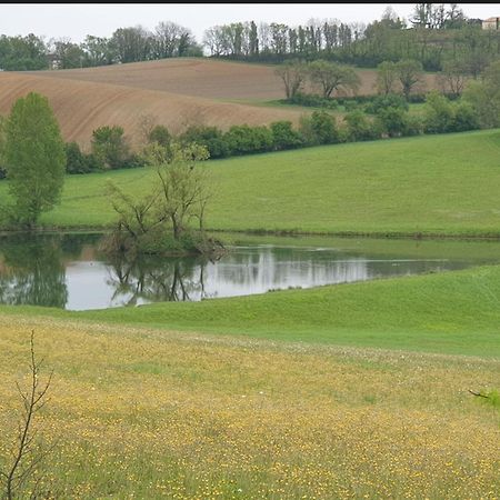 Seuls En Pleine Nature - Gite La Cote Blanche Puygaillard-de-Quercy Kültér fotó