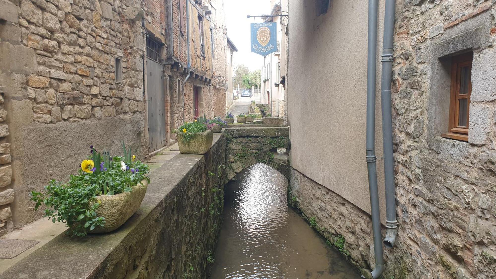 Seuls En Pleine Nature - Gite La Cote Blanche Puygaillard-de-Quercy Kültér fotó