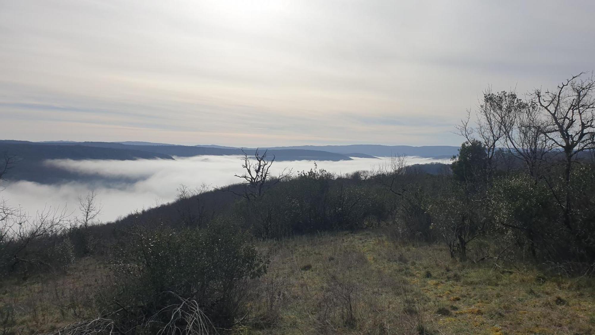 Seuls En Pleine Nature - Gite La Cote Blanche Puygaillard-de-Quercy Kültér fotó