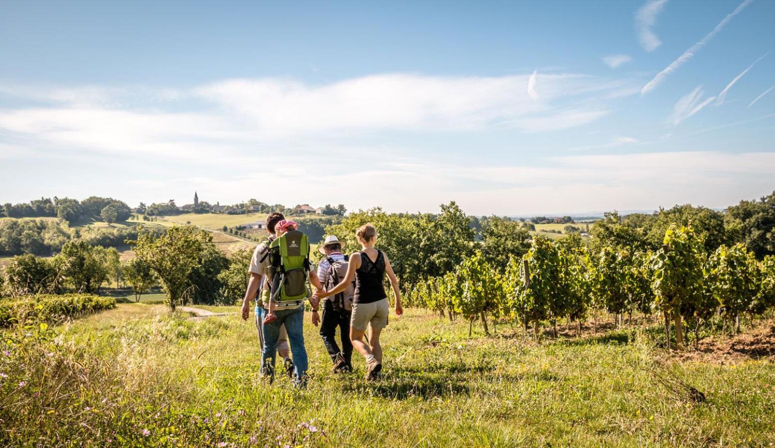 Seuls En Pleine Nature - Gite La Cote Blanche Puygaillard-de-Quercy Kültér fotó
