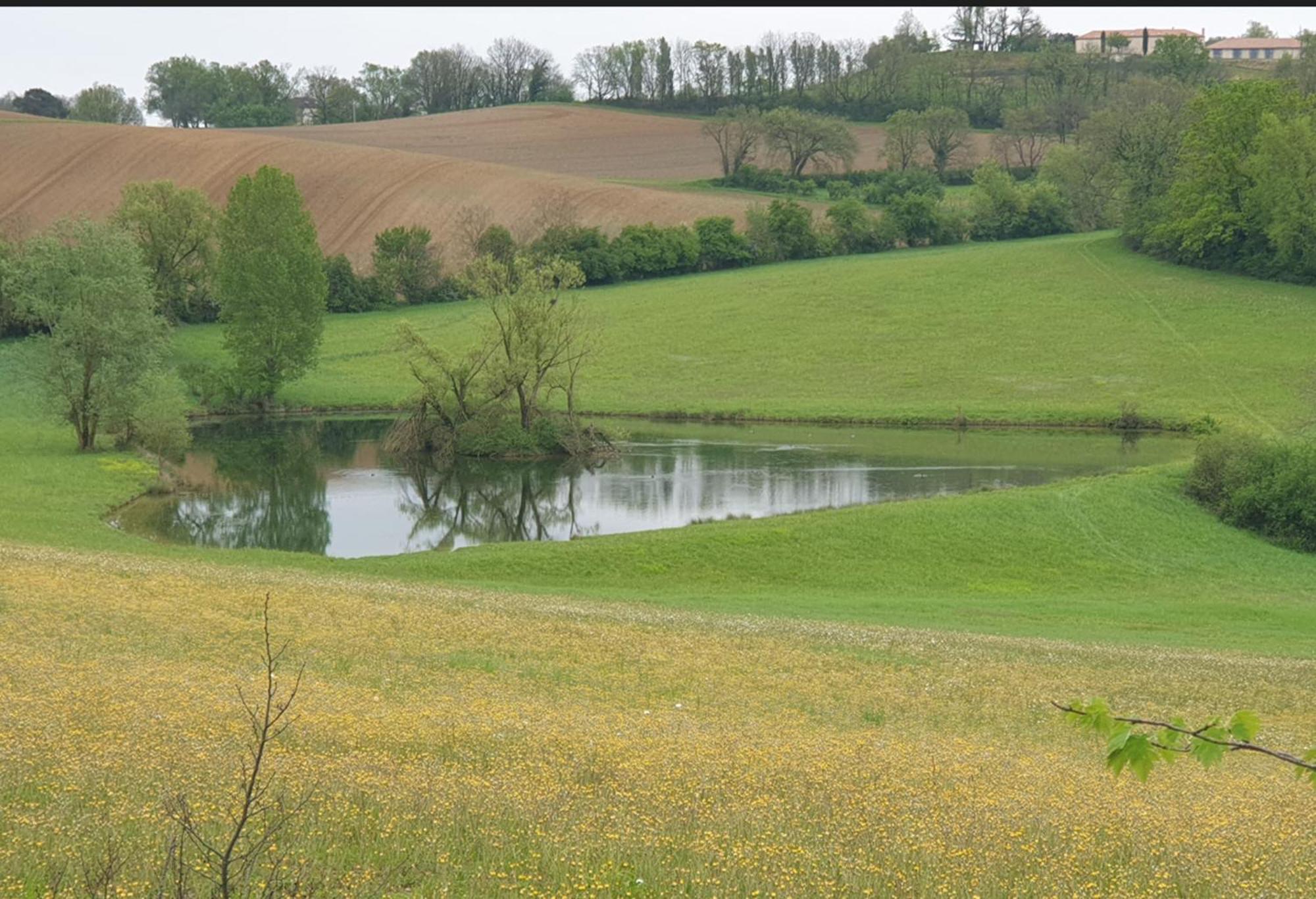 Seuls En Pleine Nature - Gite La Cote Blanche Puygaillard-de-Quercy Kültér fotó