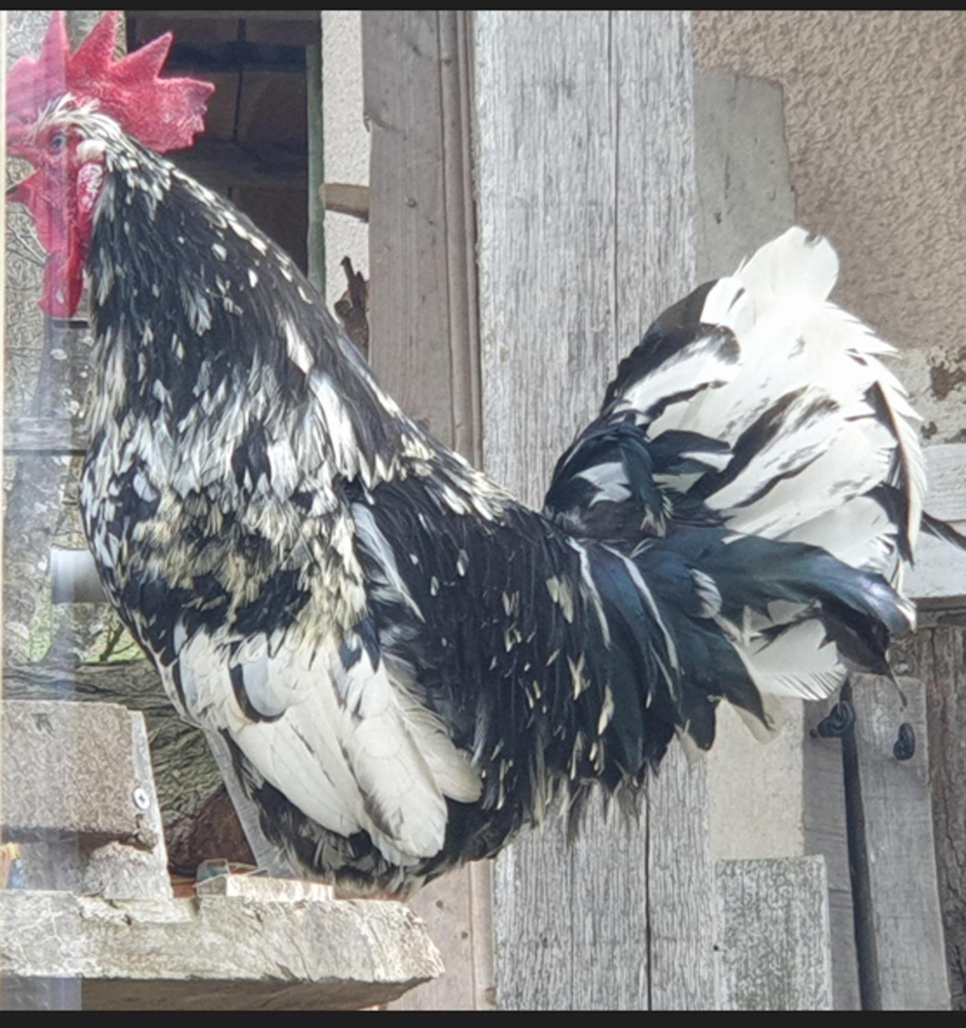 Seuls En Pleine Nature - Gite La Cote Blanche Puygaillard-de-Quercy Kültér fotó
